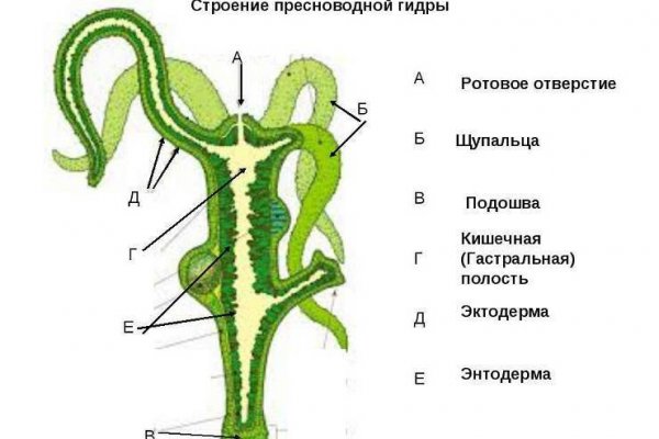 Kraken зеркала маркетплейс