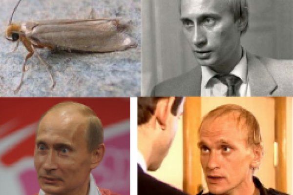 Kraken сайт зеркала