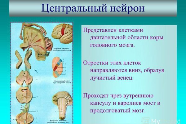 Восстановить аккаунт на кракене